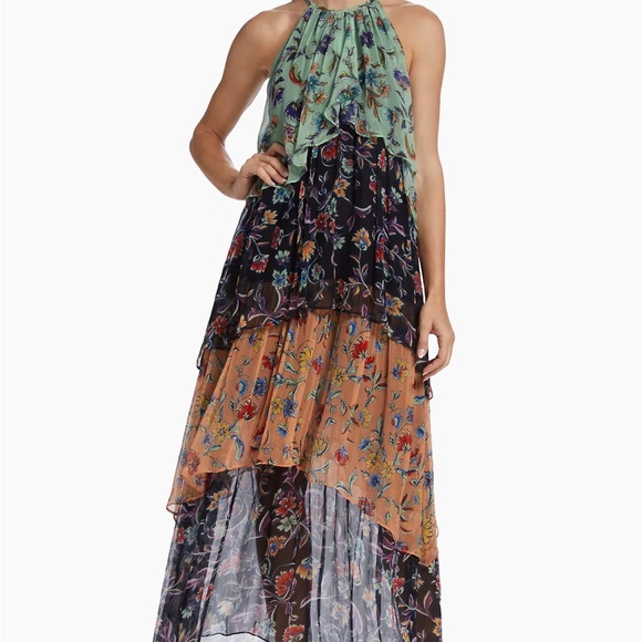 Ramy Brook
Chrisley Floral Pleated Maxi Dress - Picture 4 of 6